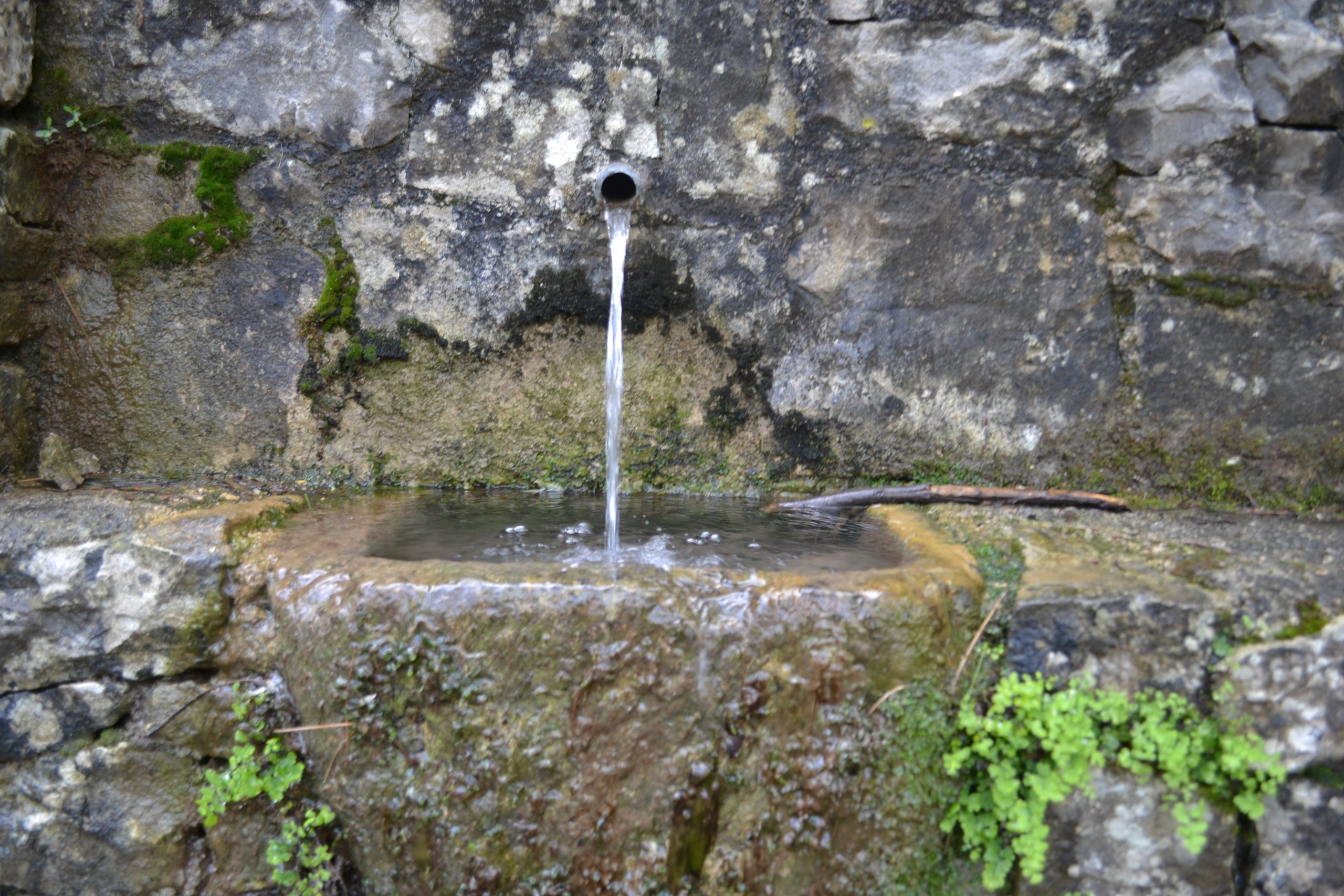 Fuente de La Font d'en Gili